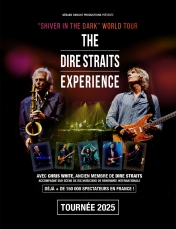 THE DIRE STRAITS EXPERIENCE